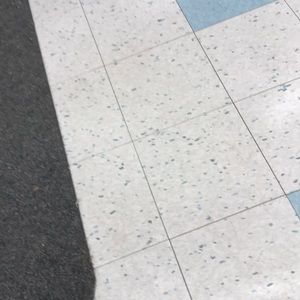 Meet your Posher, Devon